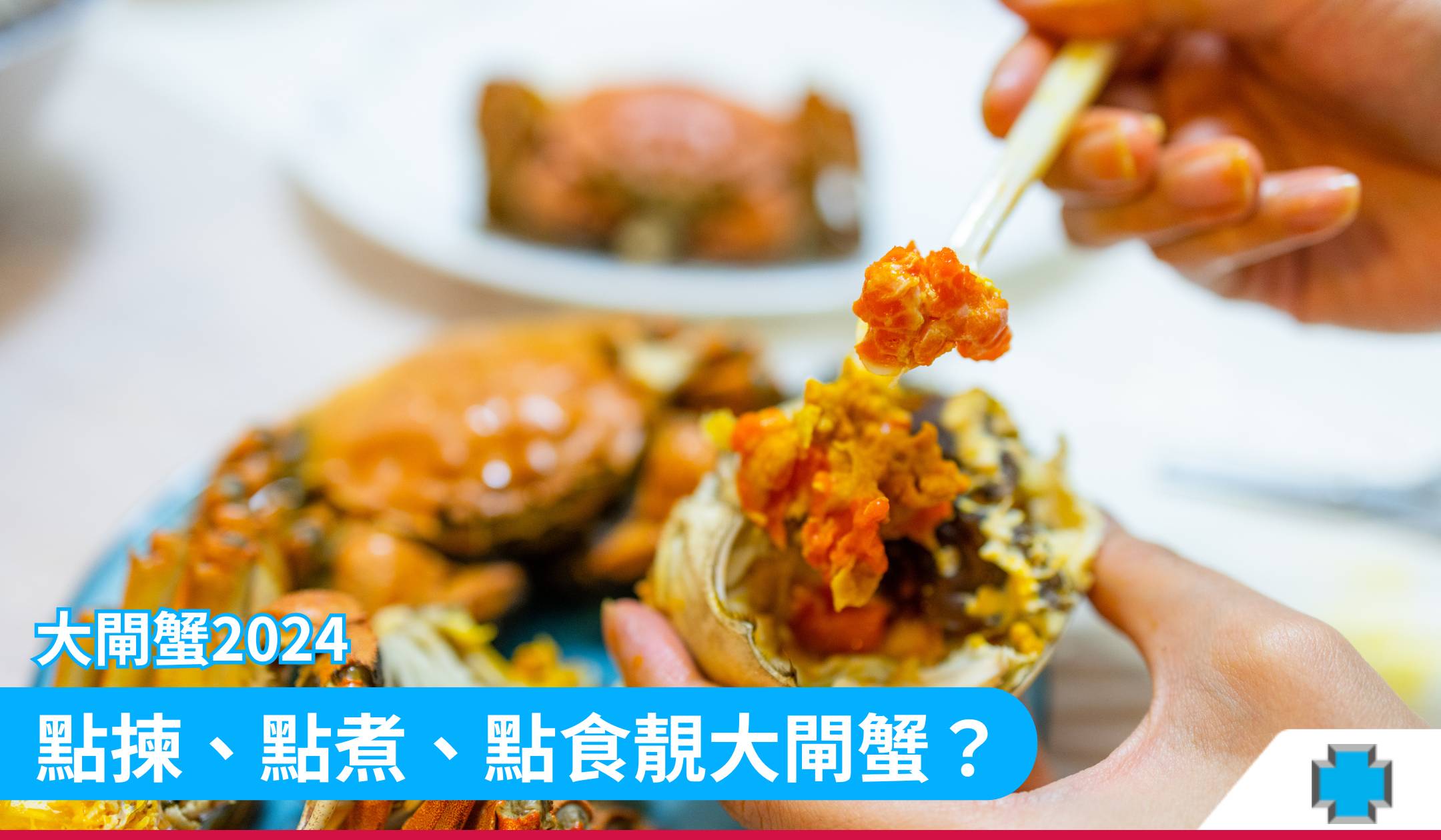 大閘蟹2024：點揀、點煮、點食靚大閘蟹？